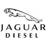 Jaguar matrica