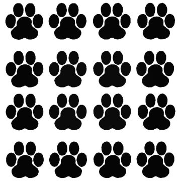 Kutyatappancs matrica