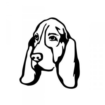 Basset hound matrica
