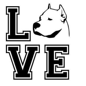 Argentin dog 6 matrica 