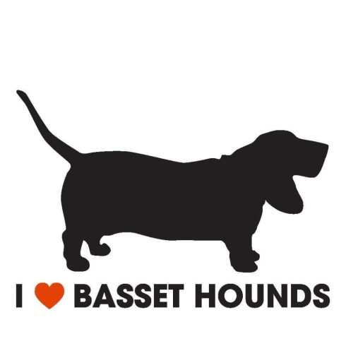 Basset hound 4 matrica