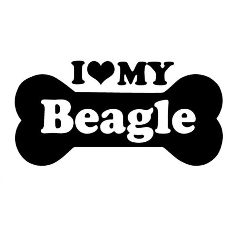 I Love My Beagle matrica