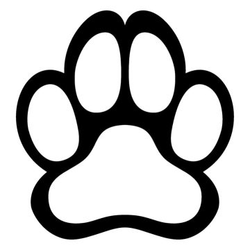 Border collie matrica 4