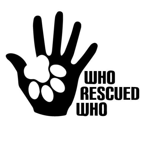 WHO Rescued WHO Border Collie matrica 
