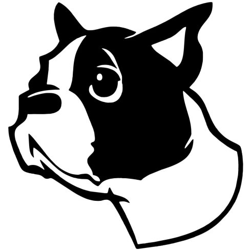 Boston terrier matrica 1