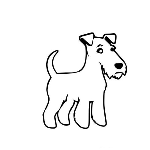 Foxterrier matrica 5