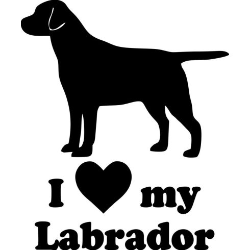 Labrador matrica 11