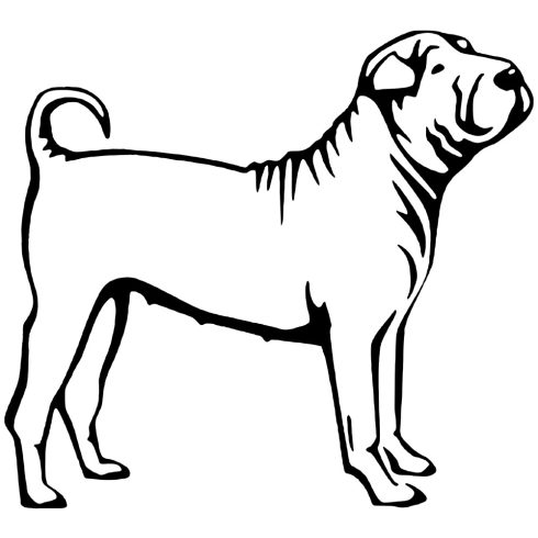 Shar pei matrica 0