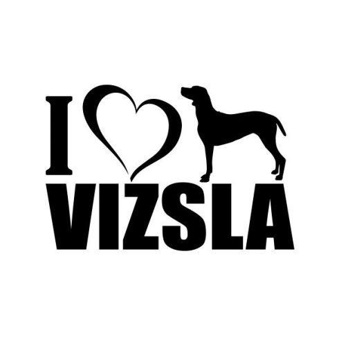 Vizsla matrica 12