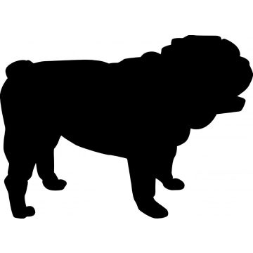Angol bulldog 3 matrica 