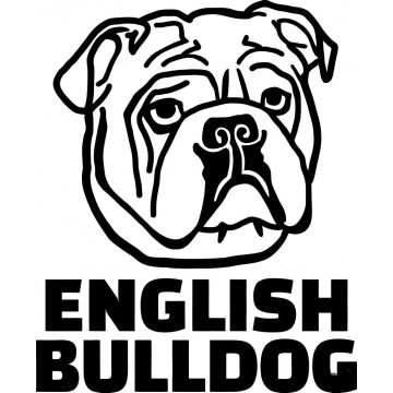 Angol bulldog 4 matrica 