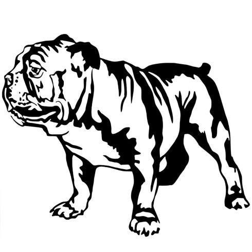 Angol bulldog 8 matrica 
