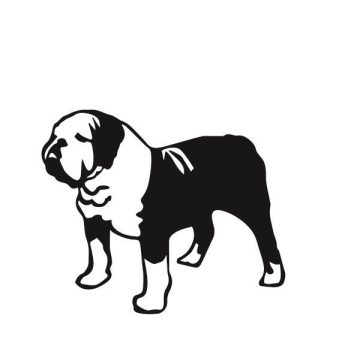 Angol bulldog 14 matrica 