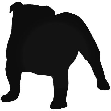 Angol bulldog 19 matrica