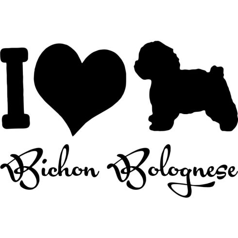 I love Bichon Bolognese matrica