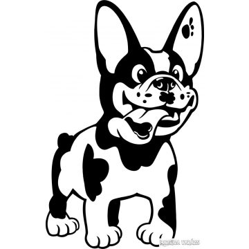 Francia bulldog matrica 20