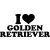 Golden retriever matrica 8