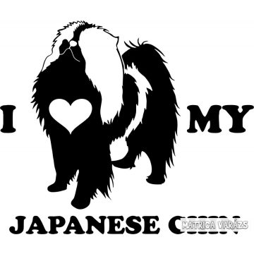 Japán csin matrica 5