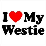 Westie matrica 6
