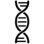 DNS Autómatrica