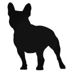 Francia bulldog "1" matrica