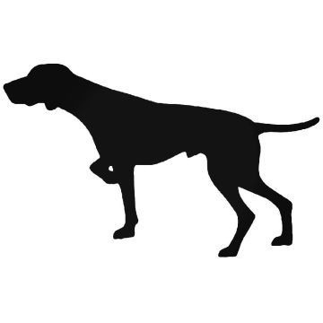 Német rövidszőrű Kutya matrica