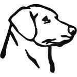 Labrador "1" matrica