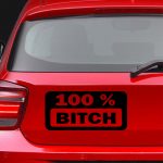 100% Bitch - Szélvédő matrica
