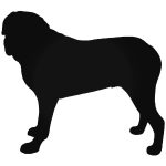 Mastiff Kutya matrica 