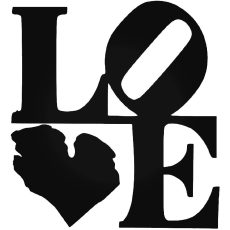 Michigan Love Autómatrica