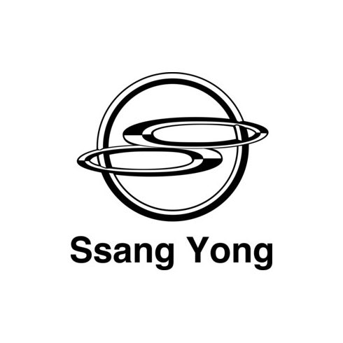 Ssang Yong Autómatrica