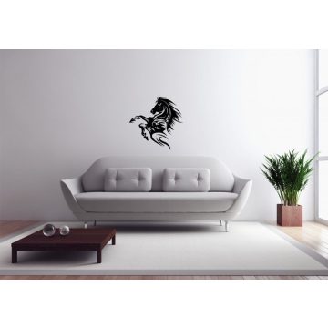 Ágaskodó ló Falmatrica